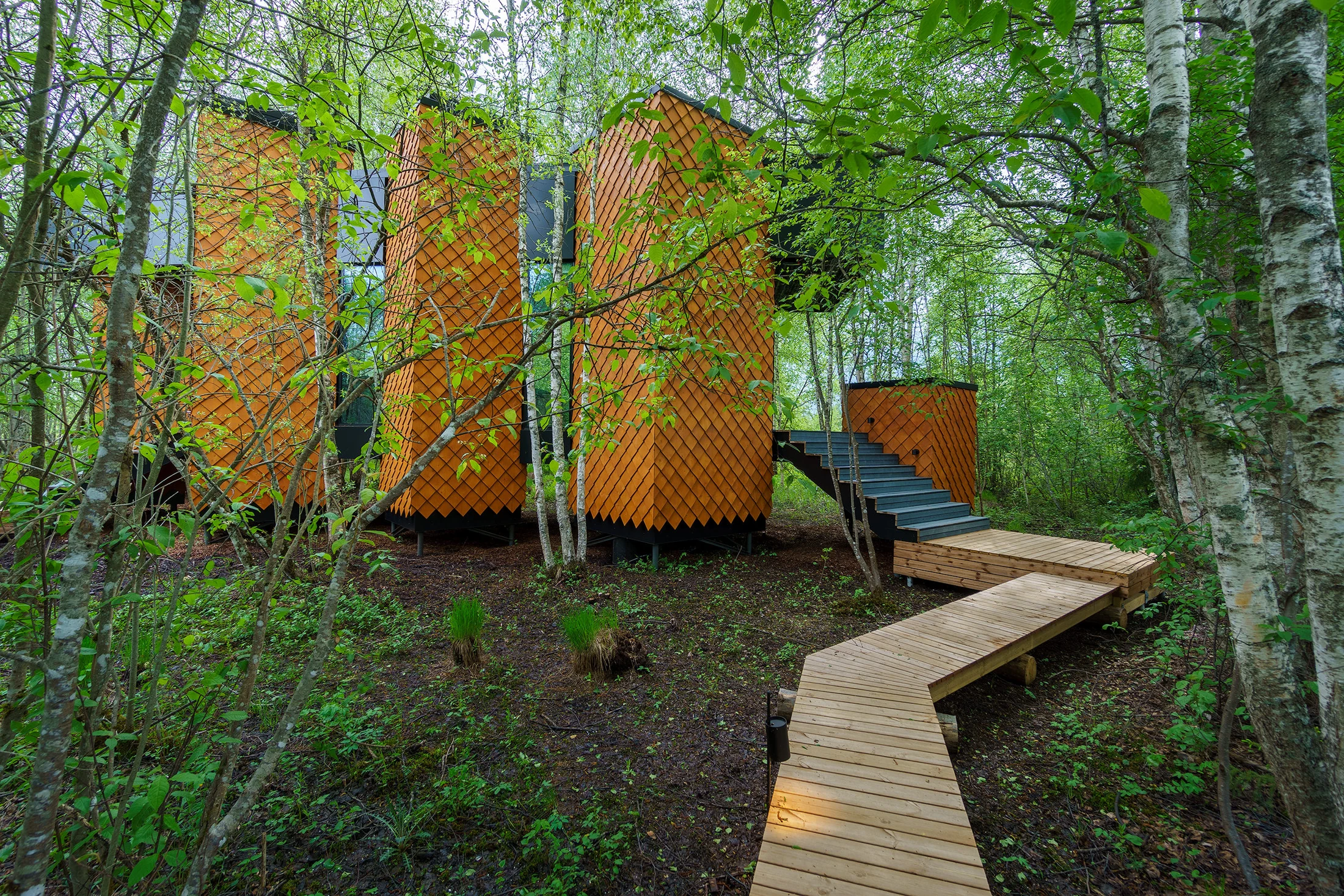 A cabin at Maidla Nature Resort surrounded by green woodland